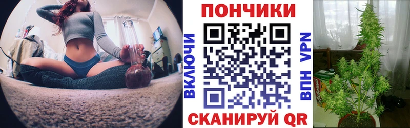 Купить закладку Псилоцибиновые грибы  Cocaine  Меф мяу мяу  Конопля  APVP  АМФЕТАМИН  Лесозаводск