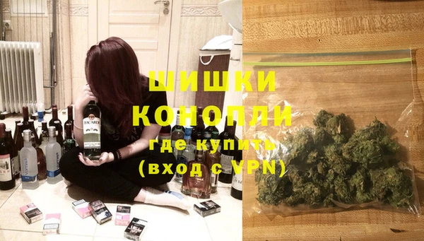 a pvp Ельня