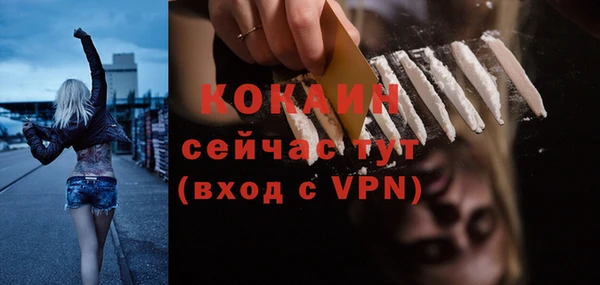 a pvp Ельня