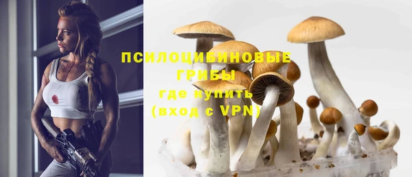 apvp Елабуга