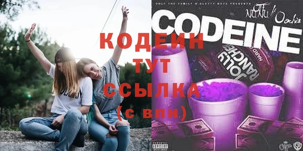 a pvp Ельня