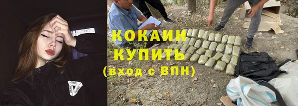 a pvp Ельня