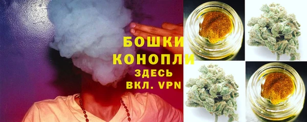 apvp Елабуга